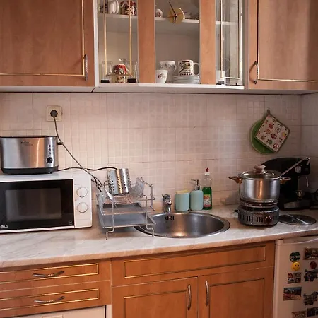 Apartment Botev *